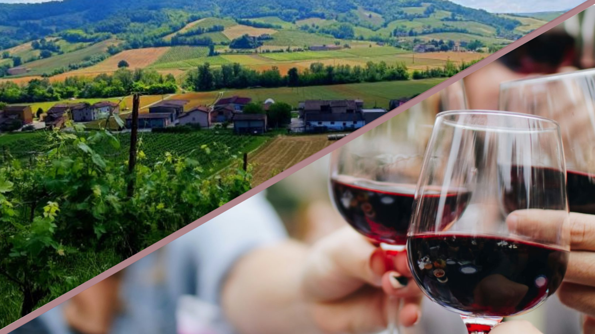 Degustazione-Eventi